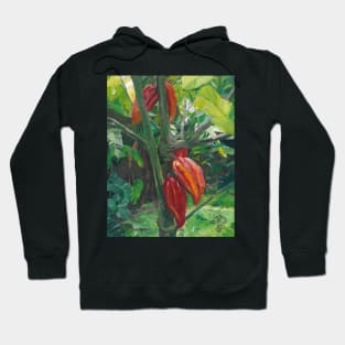 Cacao Hoodie